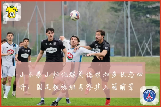 山东泰山归化球员德尔加多状态回升，国足教练组考察其入籍前景